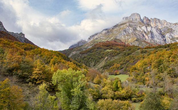 Paredones y áreas de vuelo del quebrantahuesos en Liébana. 