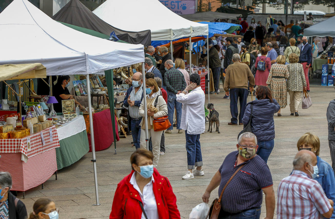 Fotos: Mercado agroalimentario y artesanal en Torrelavega