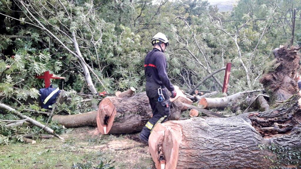 Fotos: Retirada de árboles y otros destrozos provocados por el viento