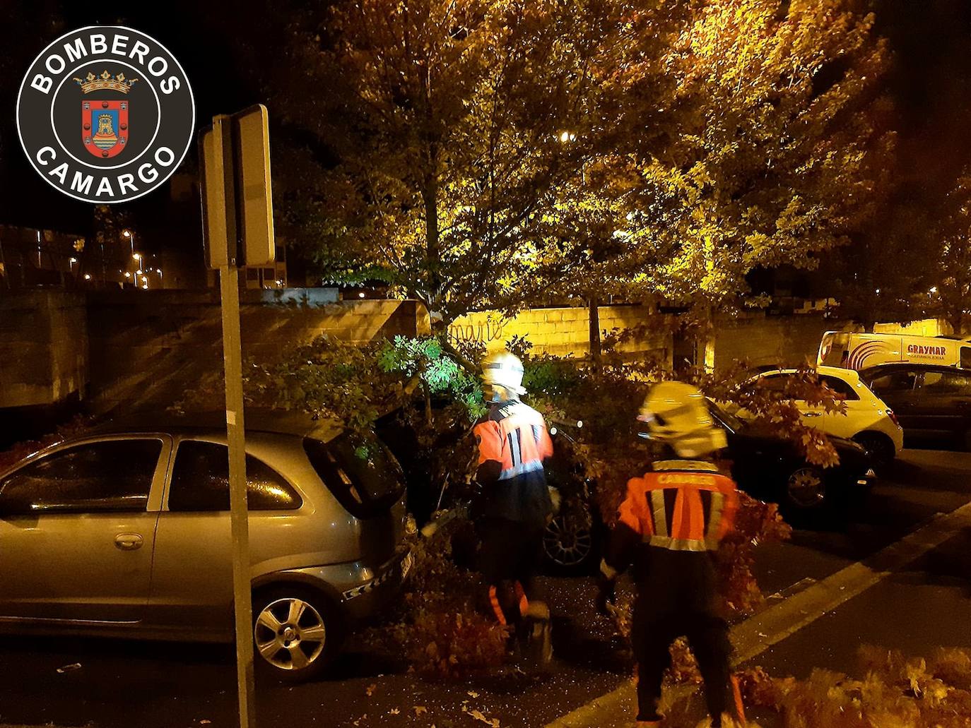 Fotos: Retirada de árboles y otros destrozos provocados por el viento