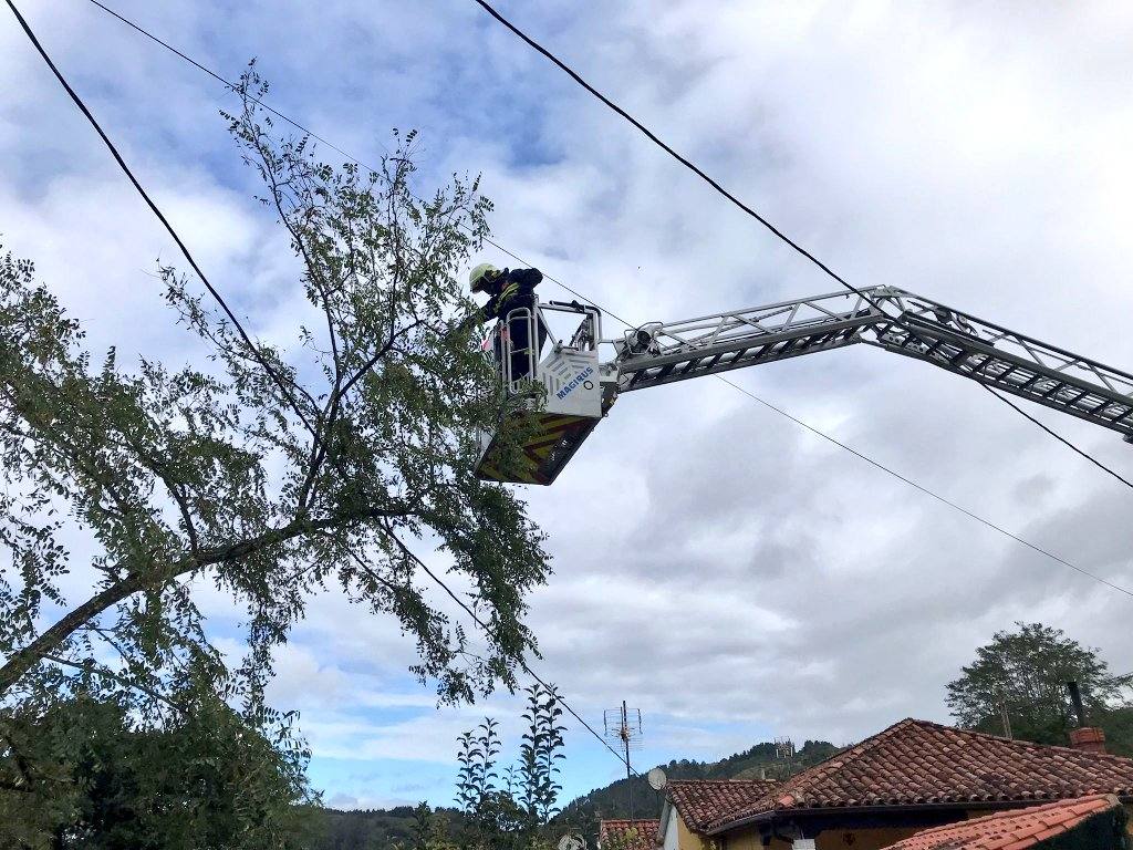 Fotos: Retirada de árboles y otros destrozos provocados por el viento
