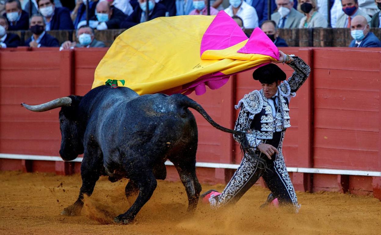 Corrida de toros en la plaza de la Maestranza de Sevilla.