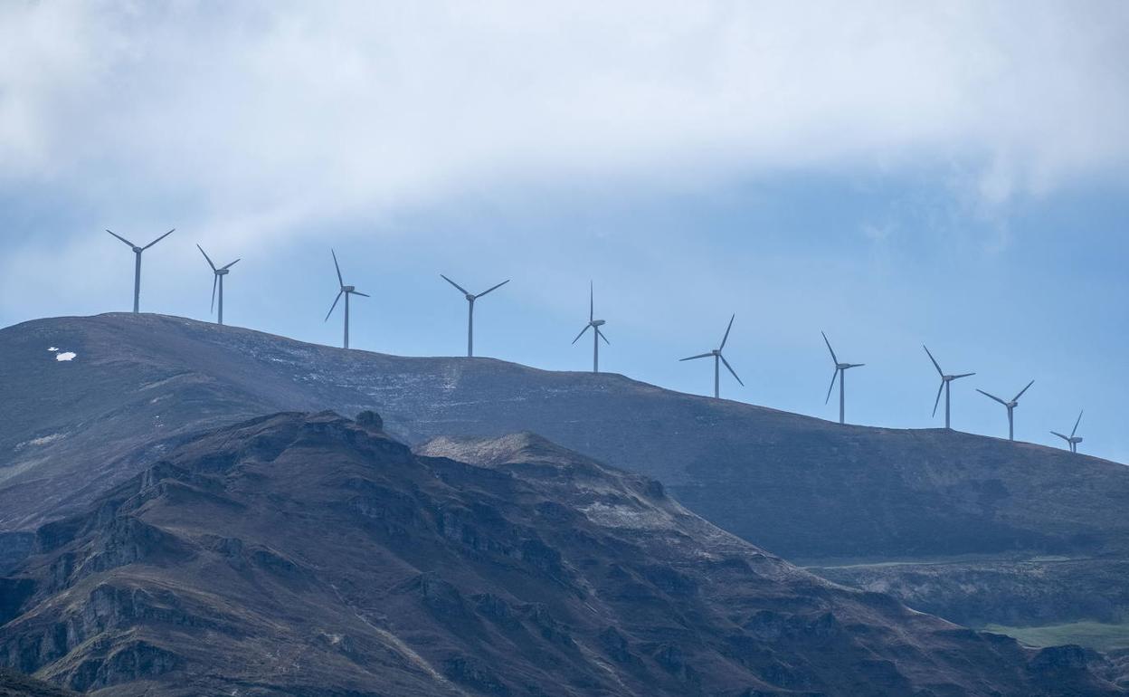 Medio centenar de empresas de la comarca oriental se une contra los parques eólicos