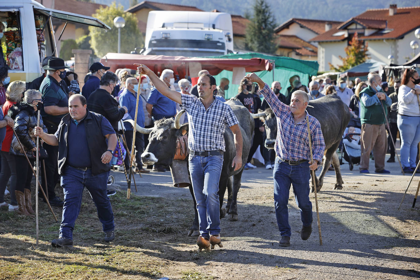 Fotos: Pasión tudanca en Cabezón de la Sal