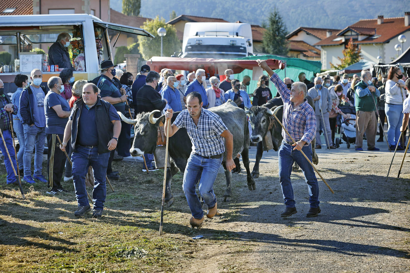 Fotos: Pasión tudanca en Cabezón de la Sal