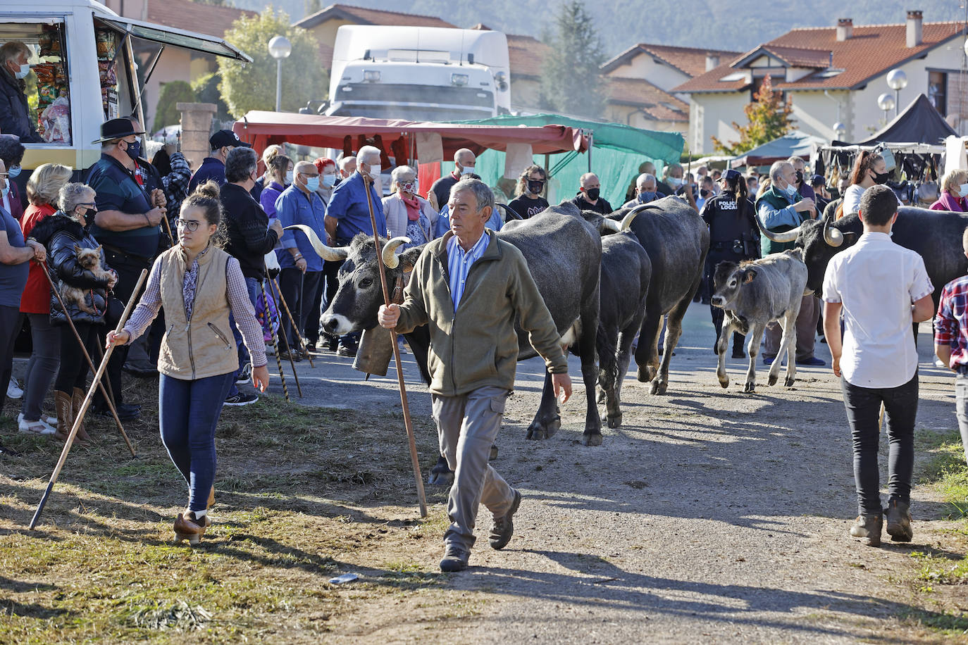 Fotos: Pasión tudanca en Cabezón de la Sal