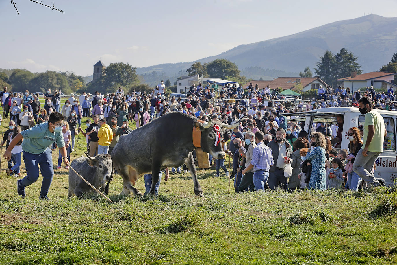 Fotos: Pasión tudanca en Cabezón de la Sal