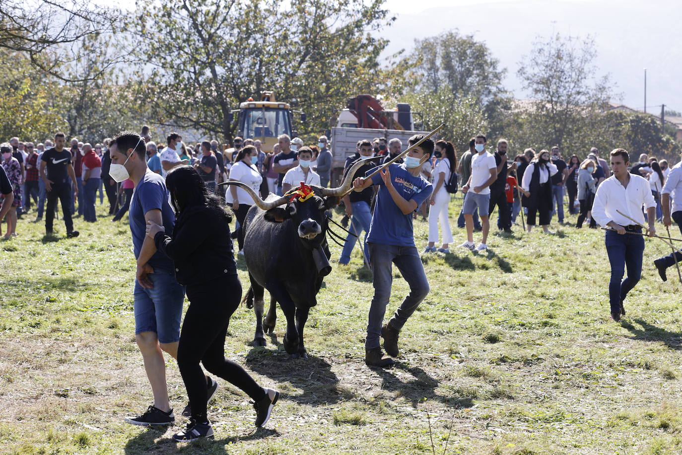 Fotos: Pasión tudanca en Cabezón de la Sal