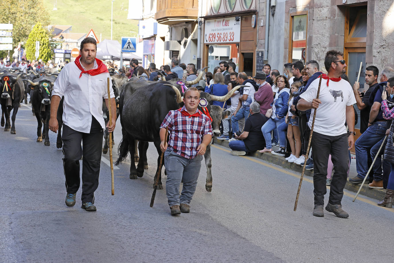 Fotos: Pasión tudanca en Cabezón de la Sal