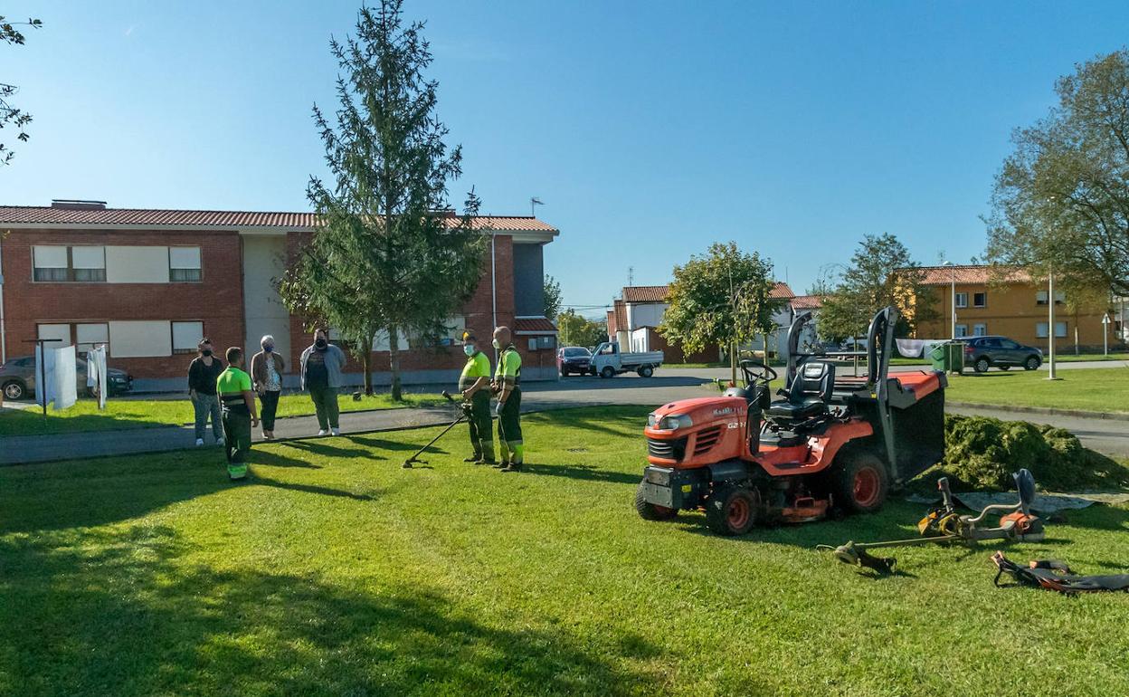 Polanco acuerda prorrogar por un año el contrato de mantenimiento de jardines