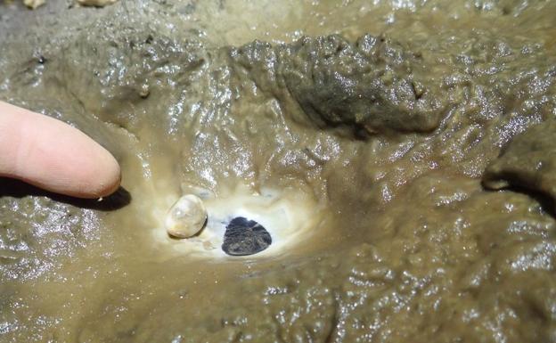 Una perla de las cavernas hallada en la gran sala 