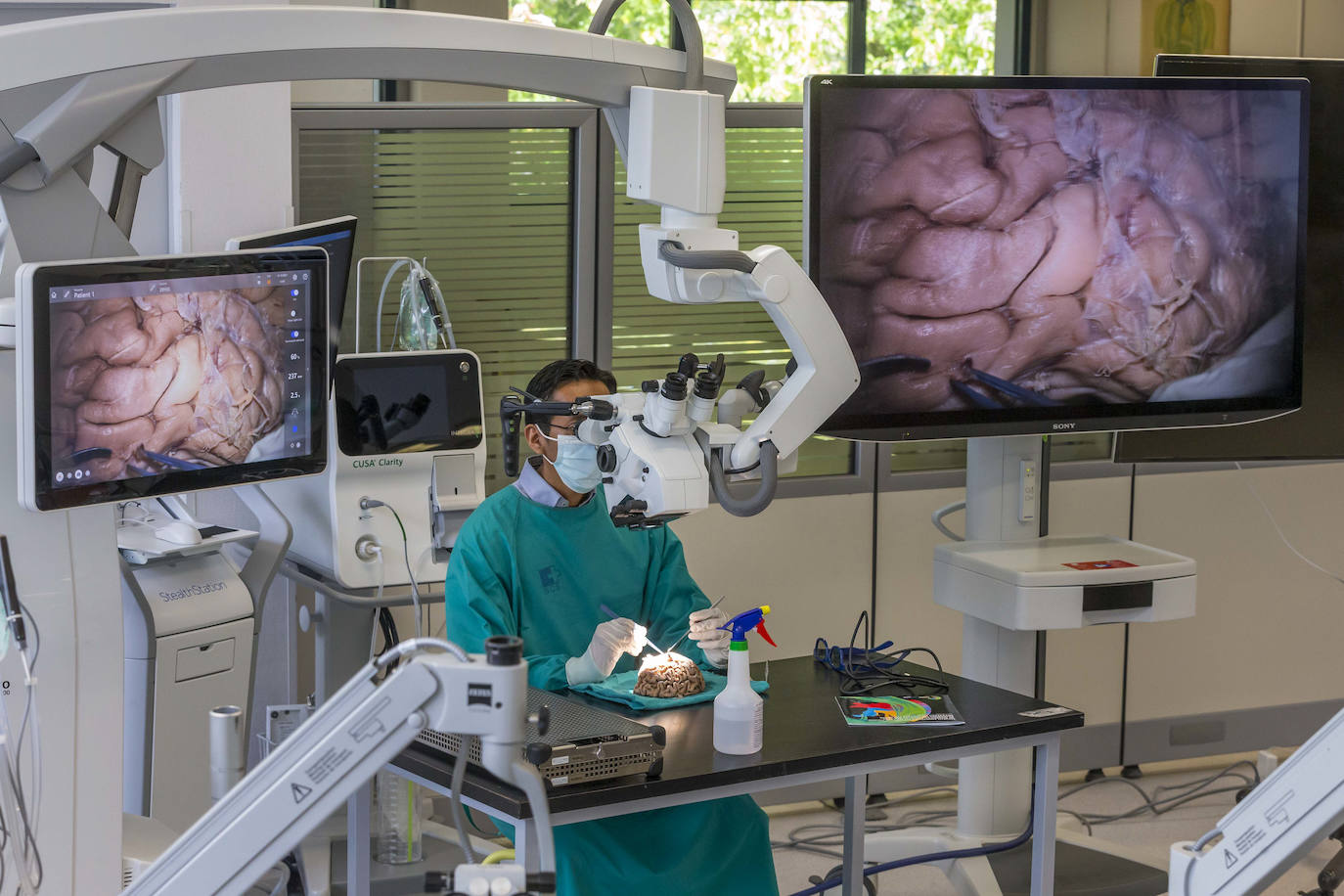 Fotos: Un curso de neurocirujía, único en el mundo, en la Facultad de medicina de Cantabria