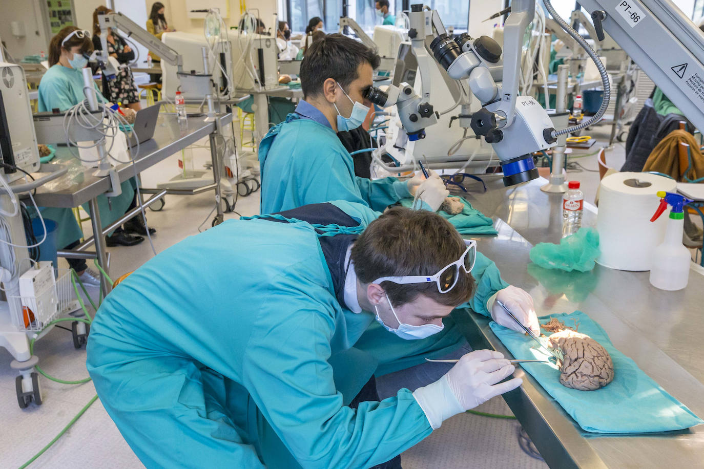 Fotos: Un curso de neurocirujía, único en el mundo, en la Facultad de medicina de Cantabria