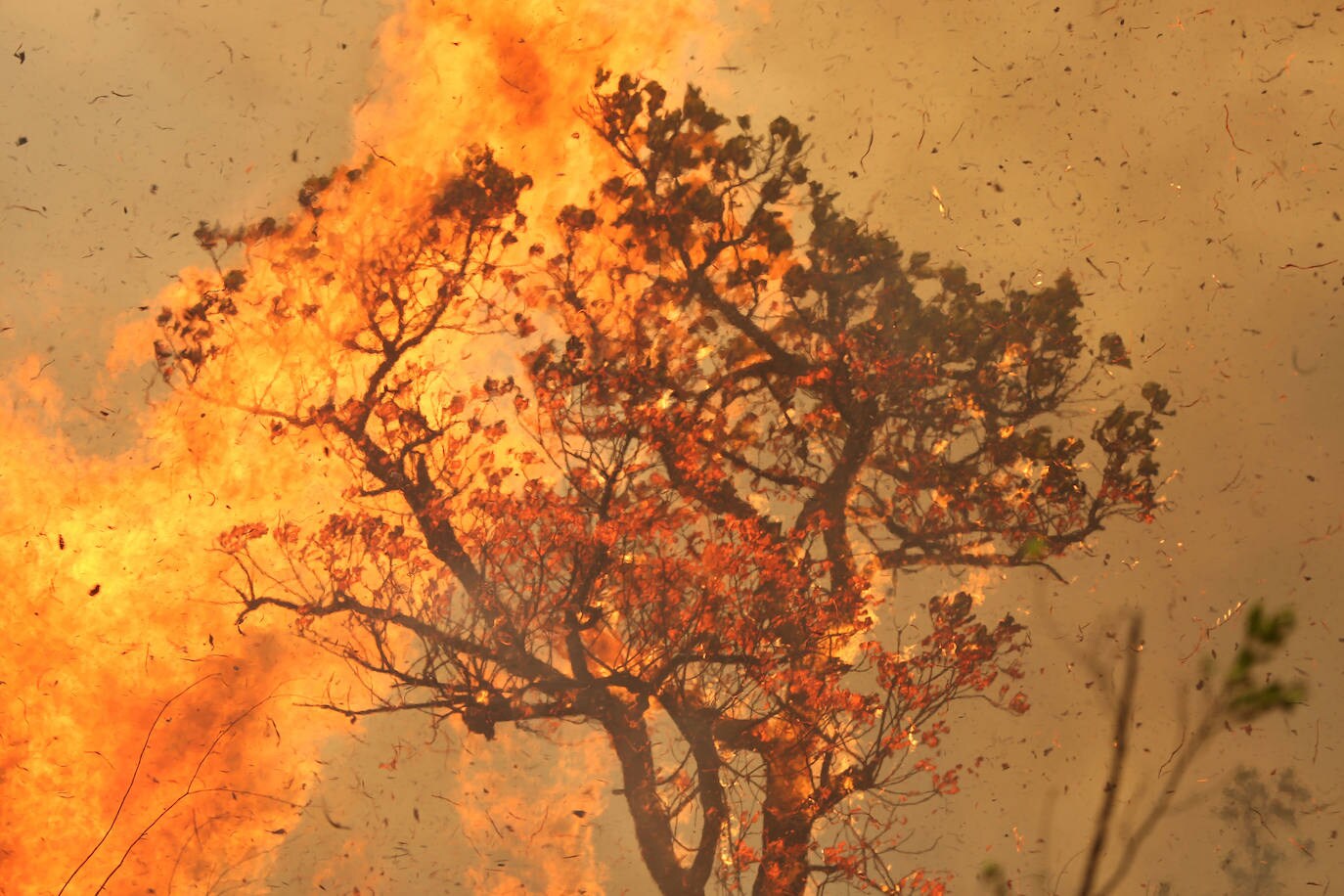 Un tramo de selva amazónica arde en la tierra Indígena Tenharim Marmelos, en el estado de Amazonas, Brasil.