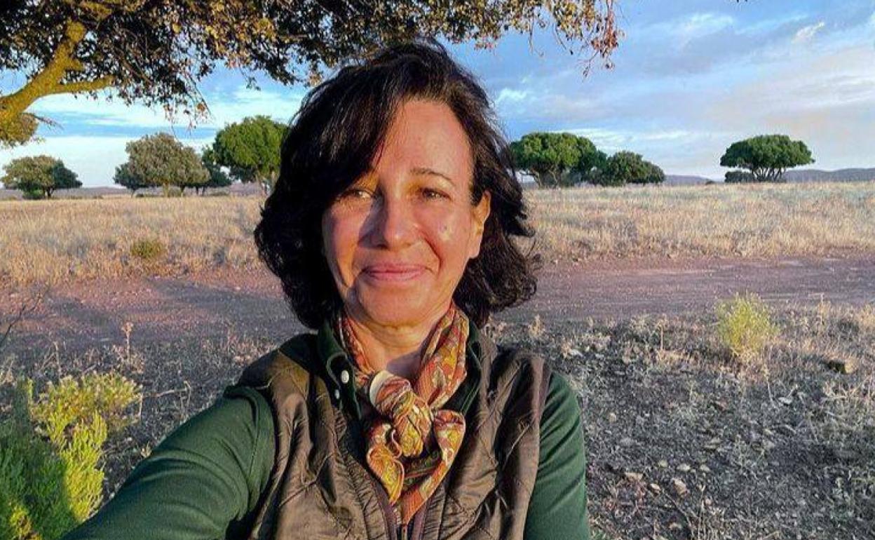 La foto de Ana Botín con la que anunciaba que se desactivaba los 'me gusta' de Instagram.