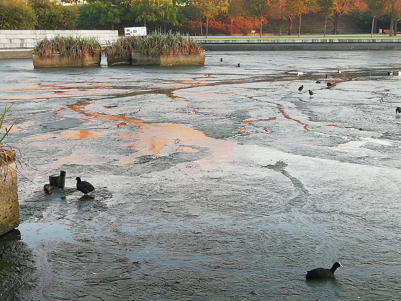 Los vecinos de Santander se han encontrado el lago artificial seco y a los patos caminando por la superficie sin agua. El Ayuntamiento aclara que se trata de una limpieza a fondo necesaria cada dos años