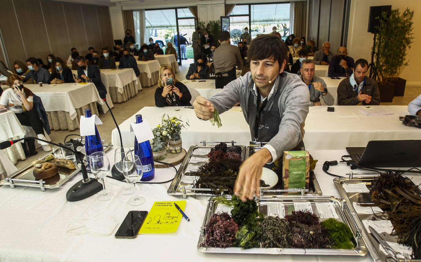 Fotos: Algas, anchoas y otras delicias de la tierra en Sabor en Cantabria