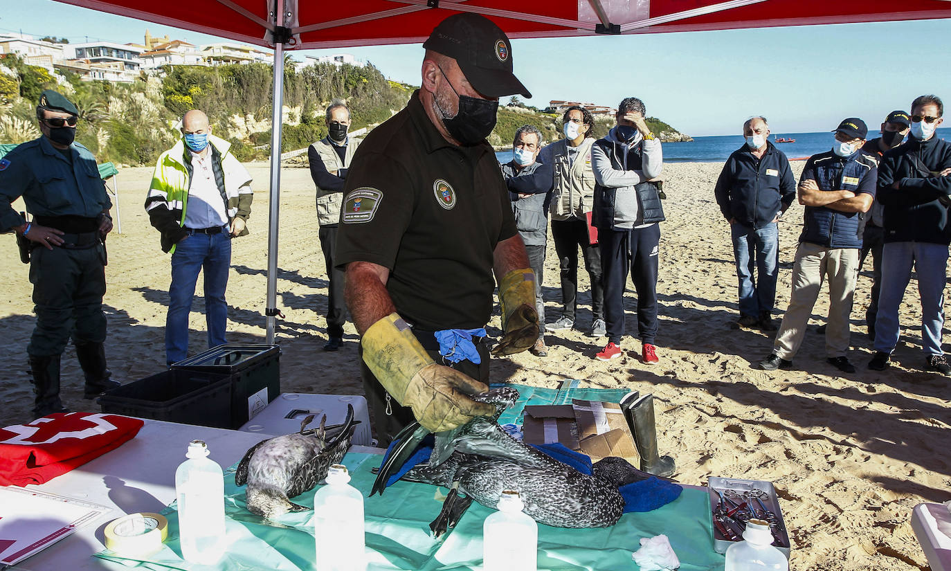 Fotos: Simulacro de actuación ante una posible contaminación marina accidental en la playa de La Concha