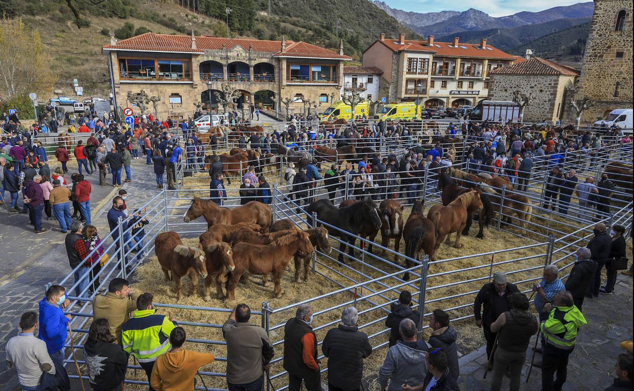 El recinto de La Serna se llenó de público para ver el ganado que acudió a Potes. 