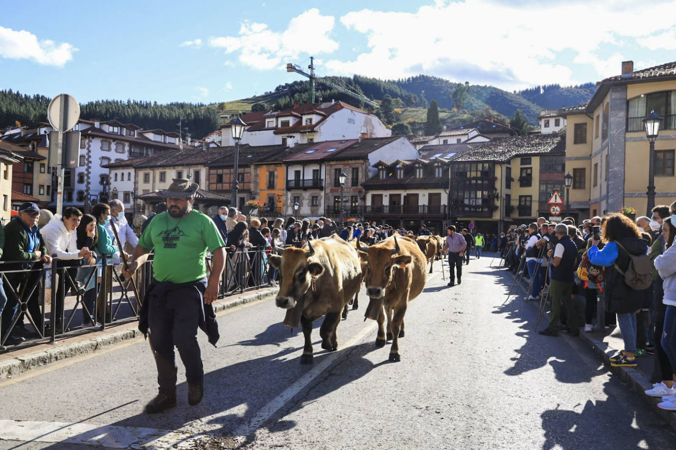 Fotos: Las mejores imágenes de la feria ganadera de Los Santos en Potes