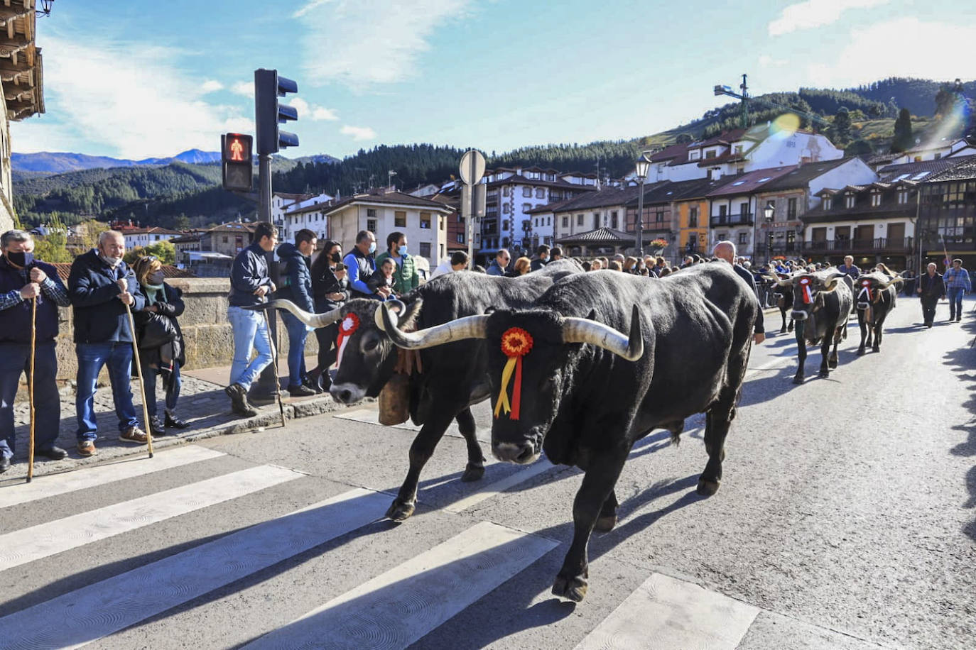 Fotos: Las mejores imágenes de la feria ganadera de Los Santos en Potes