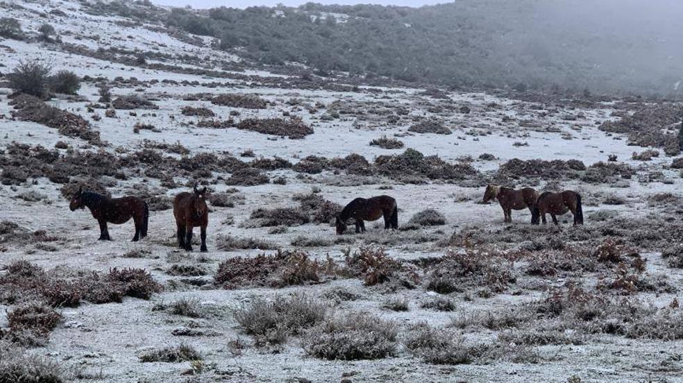 Primeros paisajes nevados de Cantabria