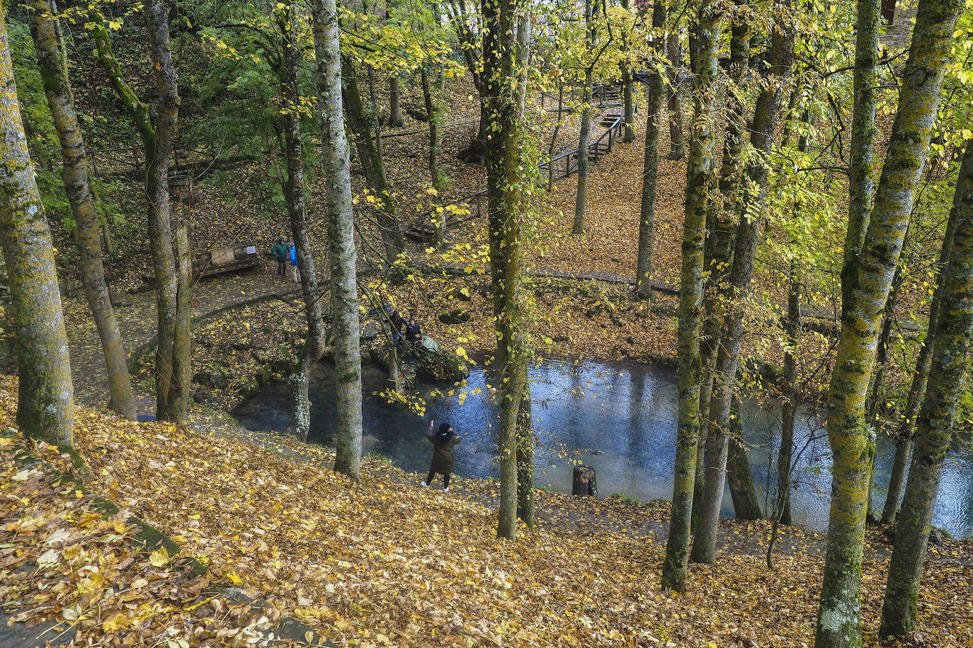 Fotos: Los colores de Campoo en otoño