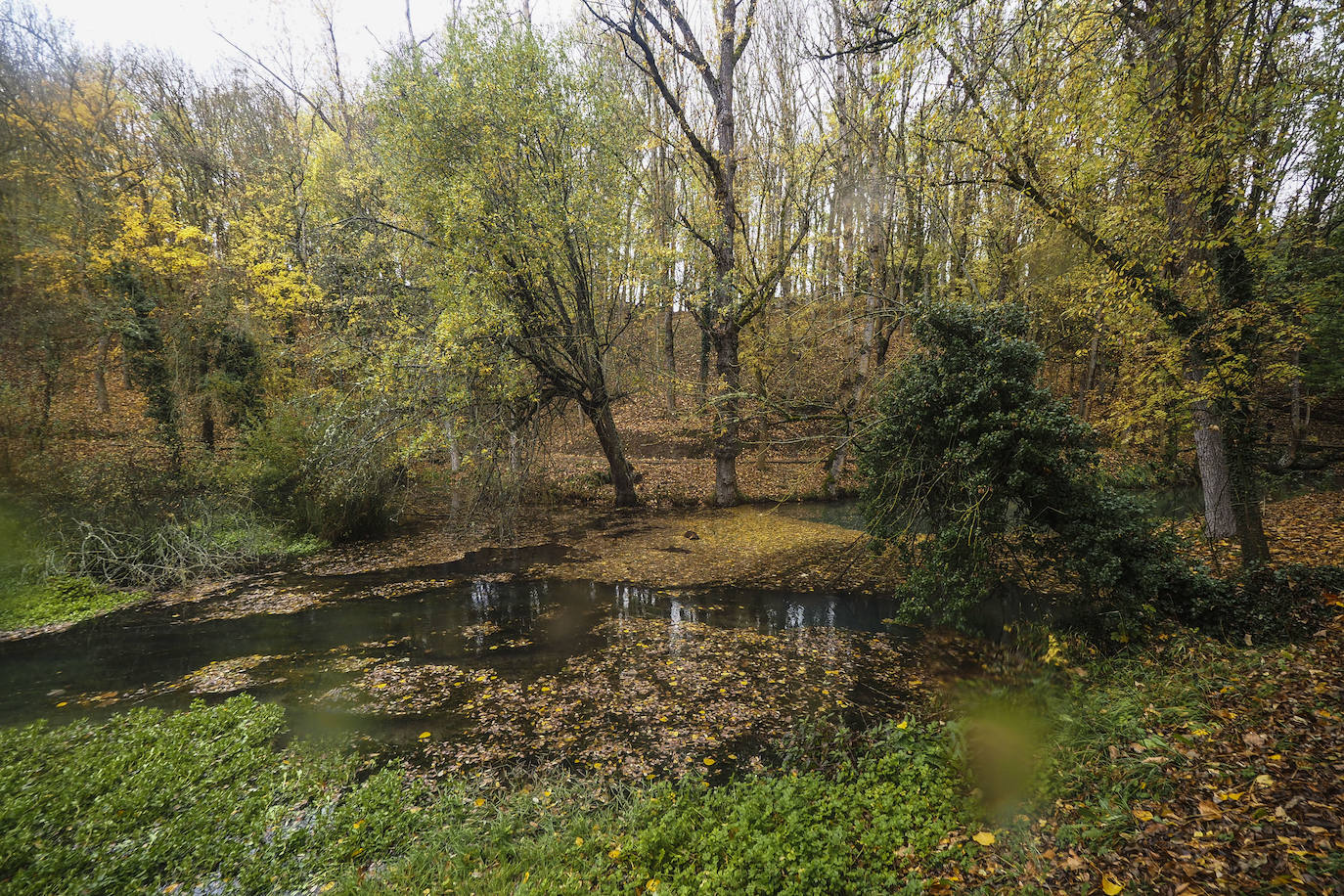 Fotos: Los colores de Campoo en otoño