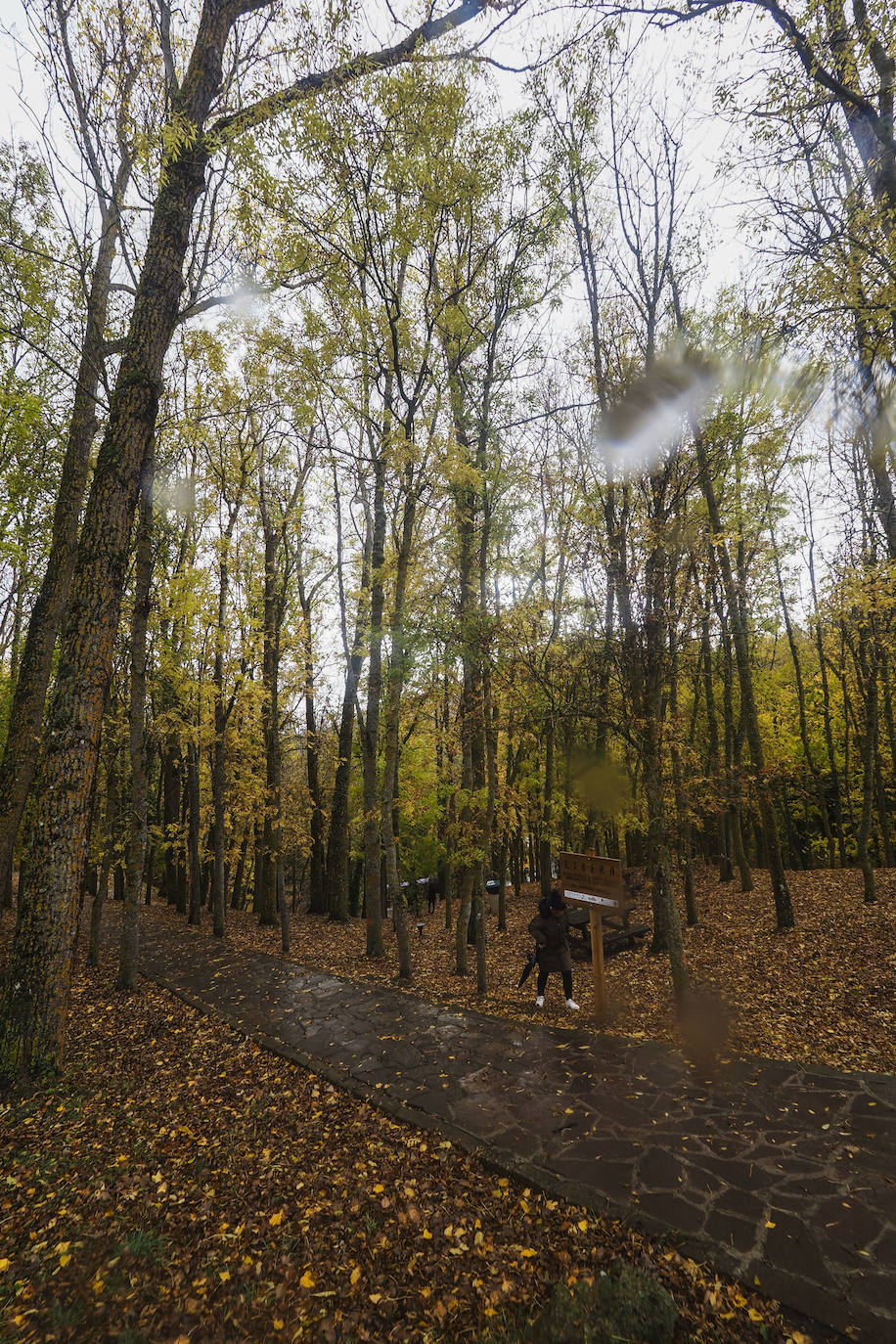 Fotos: Los colores de Campoo en otoño