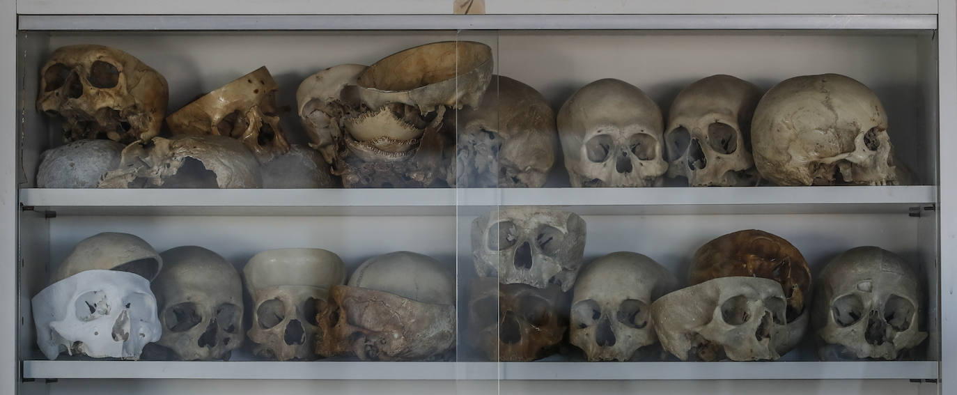 Fotos: La segunda vida del cuerpo humano