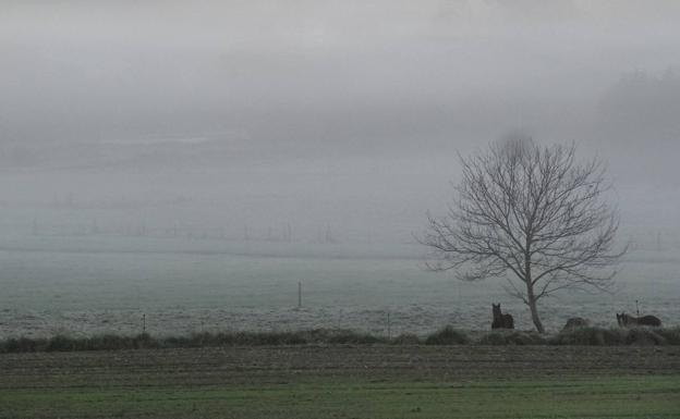 Niebla sobre el barrio de La Maza 