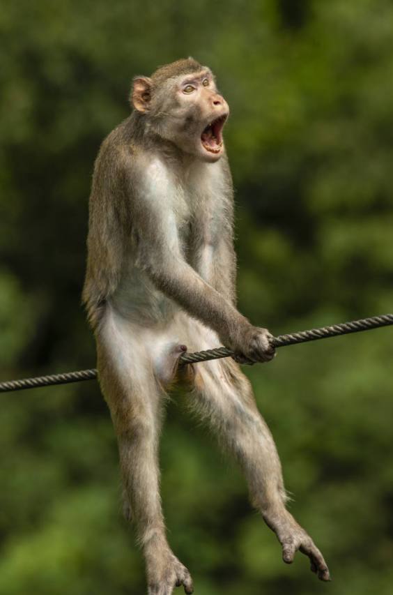 Fotos: Los animales más divertidos