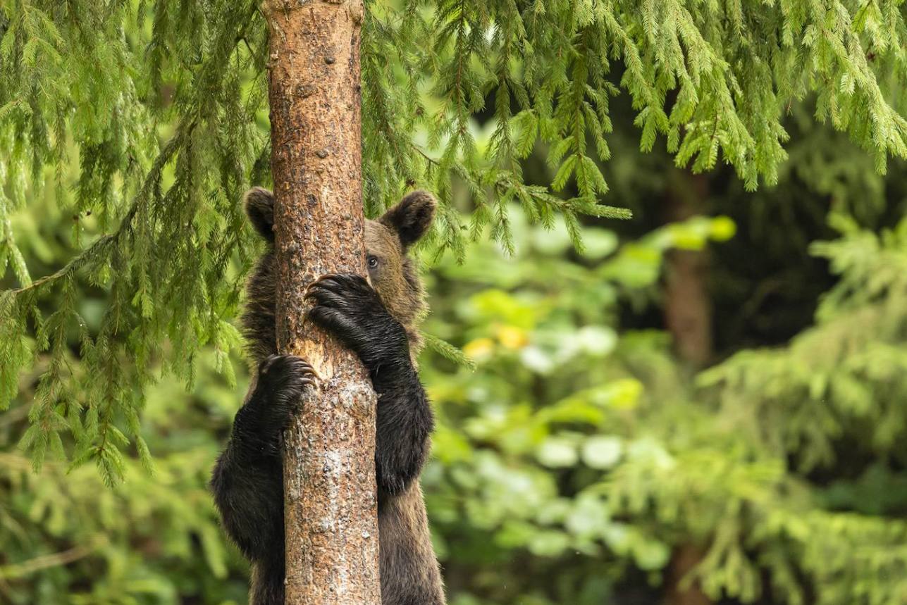 Fotos: Los animales más divertidos