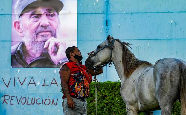 Un joven acaricia a un caballo ante una imagen de Fidel.