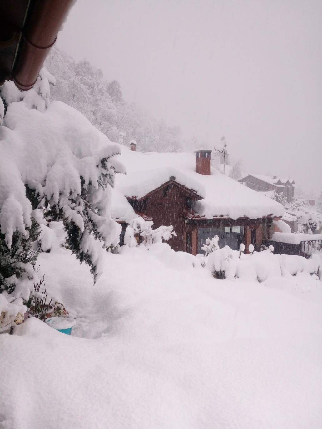 En Cucayo han caído 40 centímetros de nieve