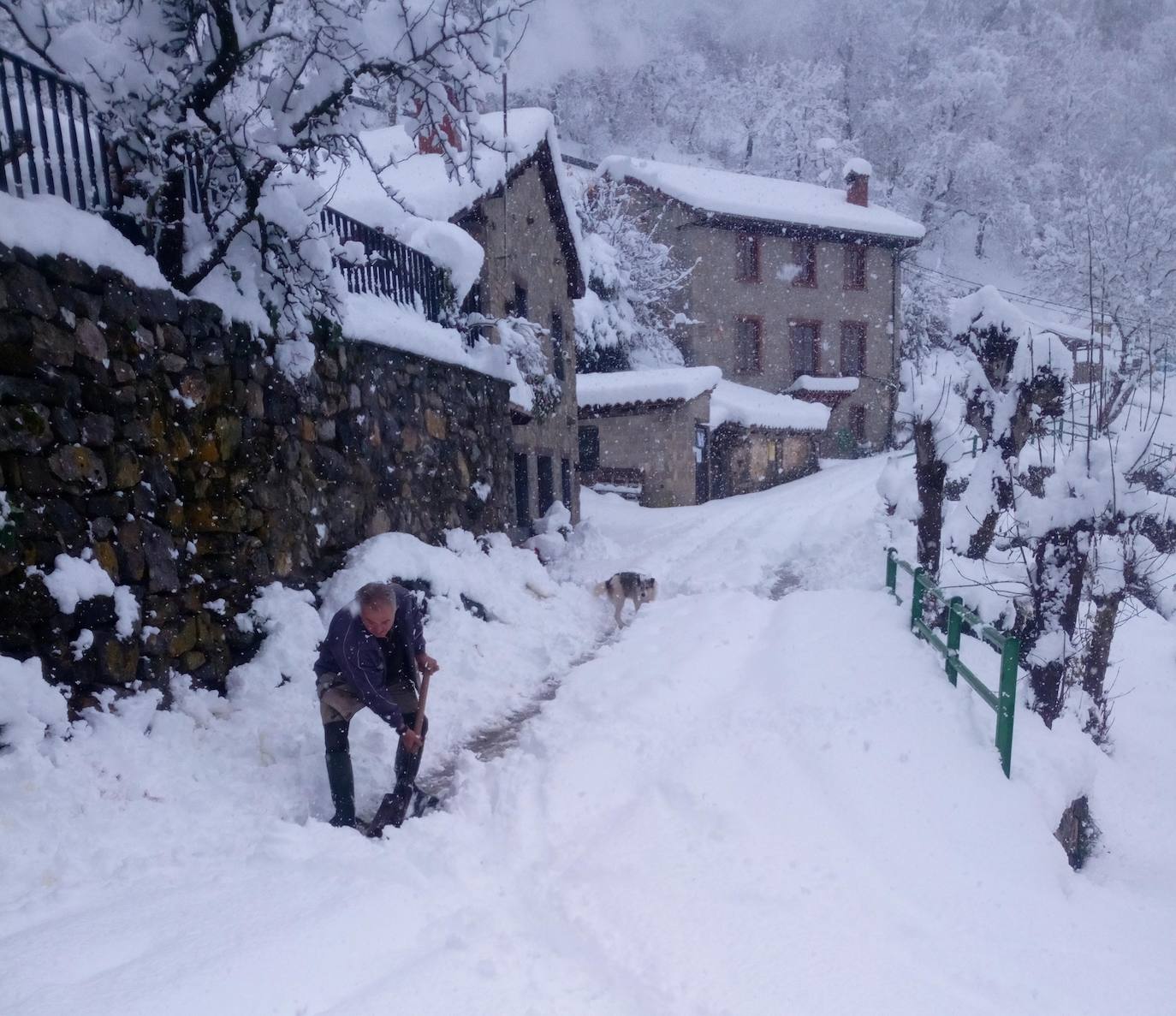 Un vecino de Cucayo (Vega de Liébana) abre el camino de acceso a su casa