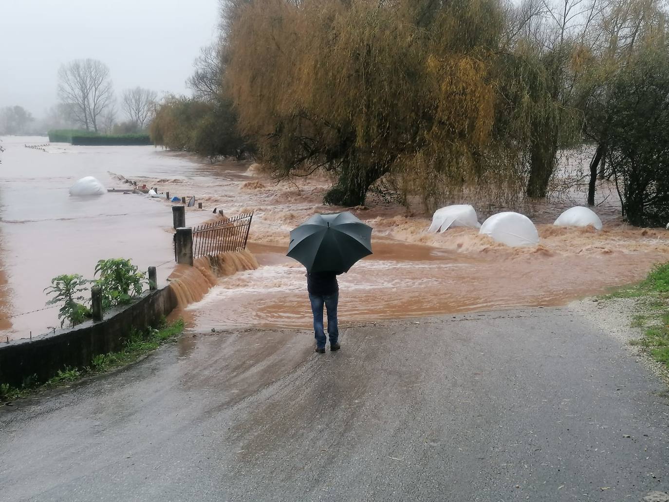 El río Pas se sale de su cauce a la altura de Renedo de Renedo de Piélagos.