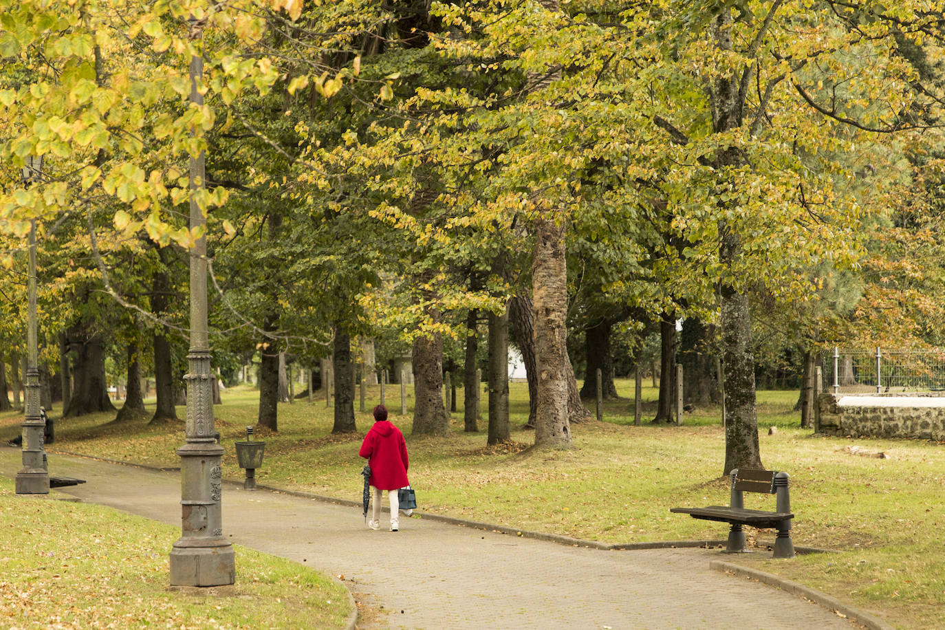 Paseo de Los Tilos que unía los dos balnearios, el de Ontaneda y Alceda.