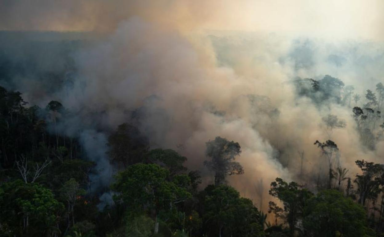 Fuego en la Amazonia.