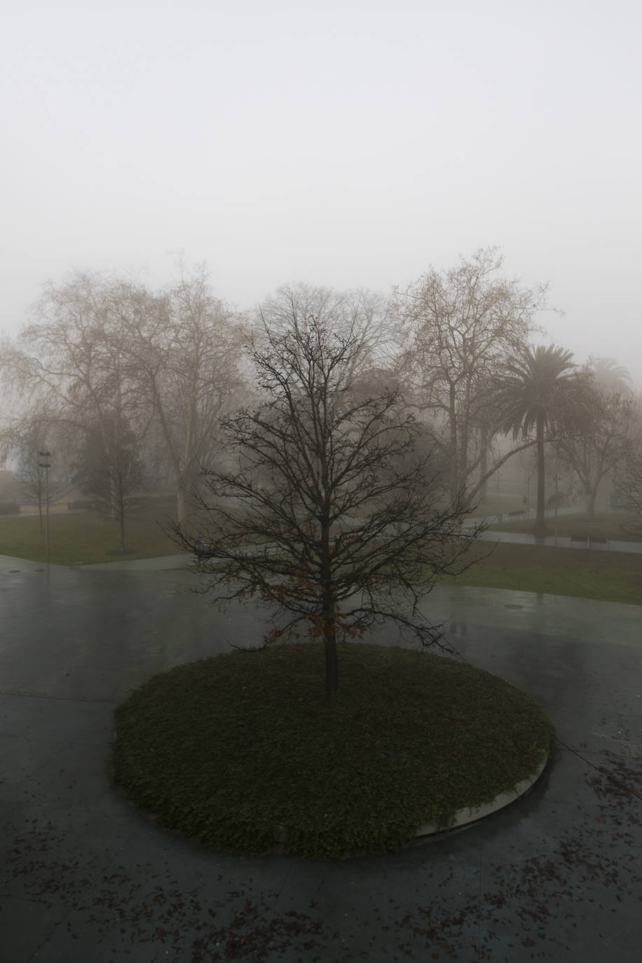 Fotos: La niebla en el amanecer de Santander