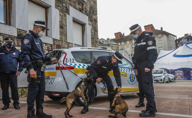 Dos cachorros de Andorra, futuros 'polis' en Torrelavega