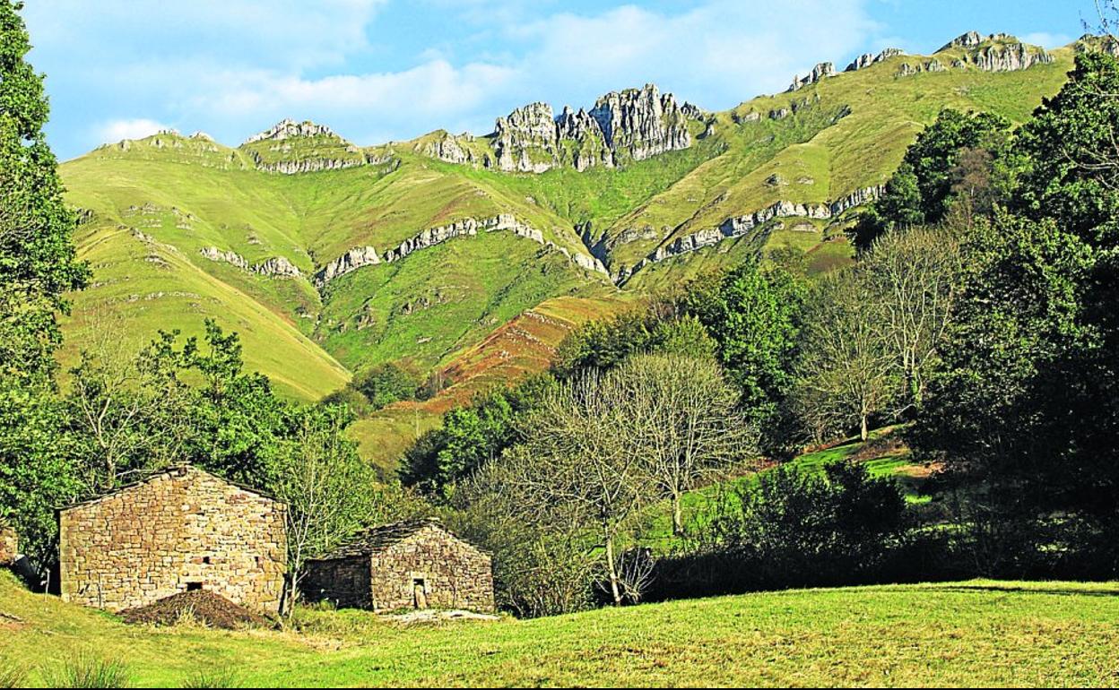 Los paisajes de cabañales y prados descarnados de árboles son parte de la singularidad de los territorios del Pas, el Miera y el Pisueña. 