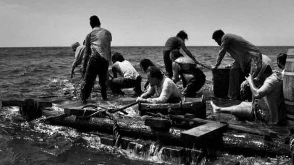 'El vientre del mar', de Agustí Villaronga, programada en el ciclo de 'Inéditos'. 