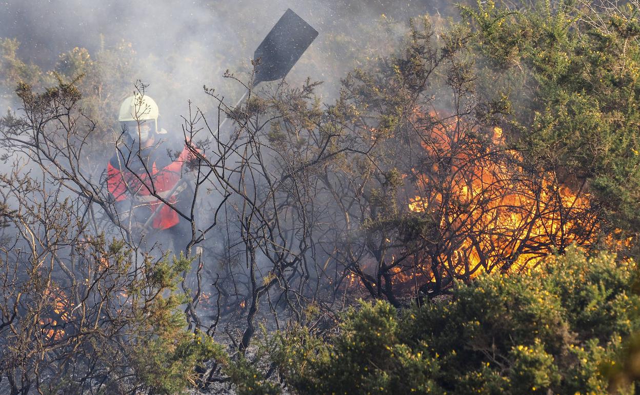 Los servicios de extinción trabajando este domingo para controlar el espectacular incendio que se desató en las faldas de Peña Cabarga, ya sofocado.