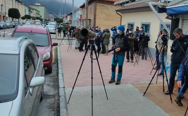 Aficionados a la ornitología y a la fotografía se reunieron ayer en Santoña para fotografiar al búho blanco de ojos de color ámbar.