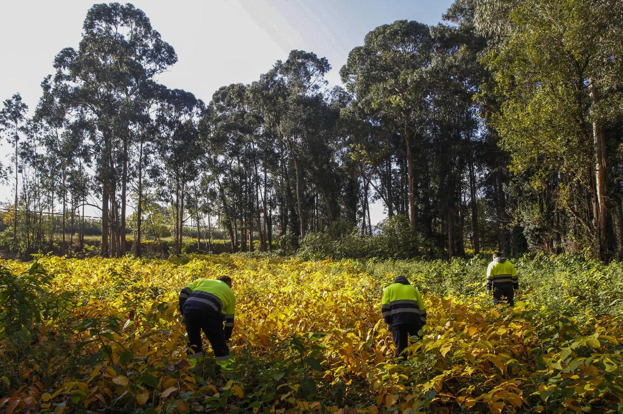 Trabajadores de Corporaciones Locales en El Patatal. 