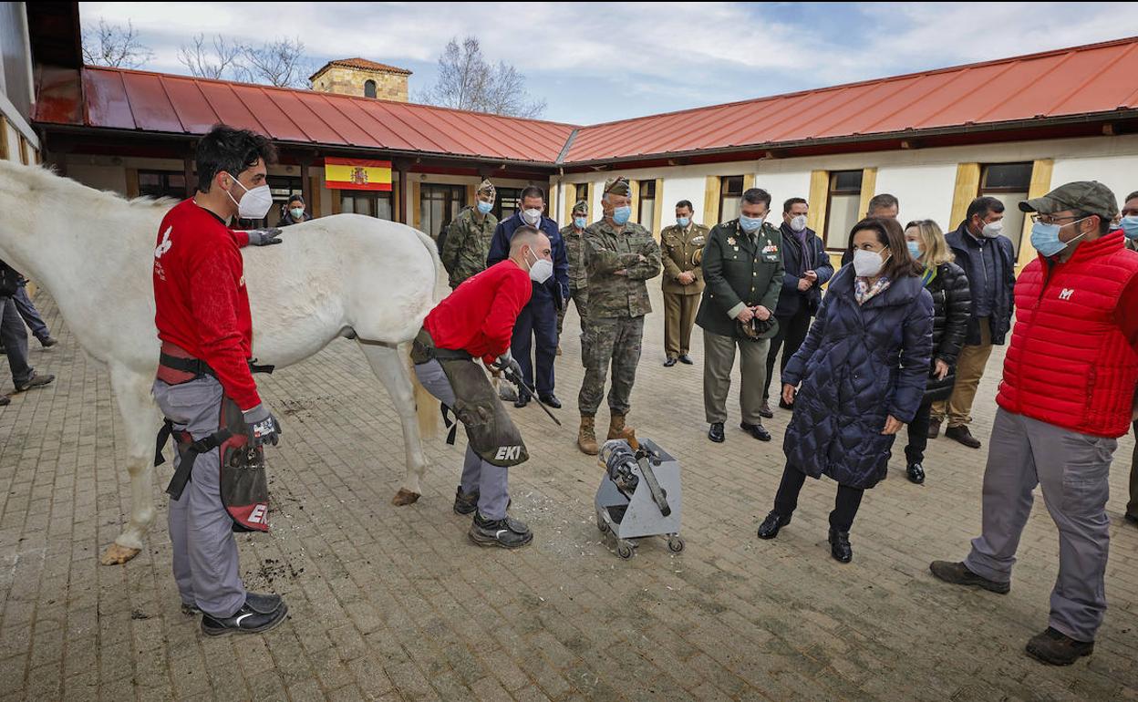 La ministra Margarita Robles ha saludado a los militares que ayudan en la vacunación en el Palacio de los Deportes y ha visitado el Centro de Cría Caballar de Ibio.