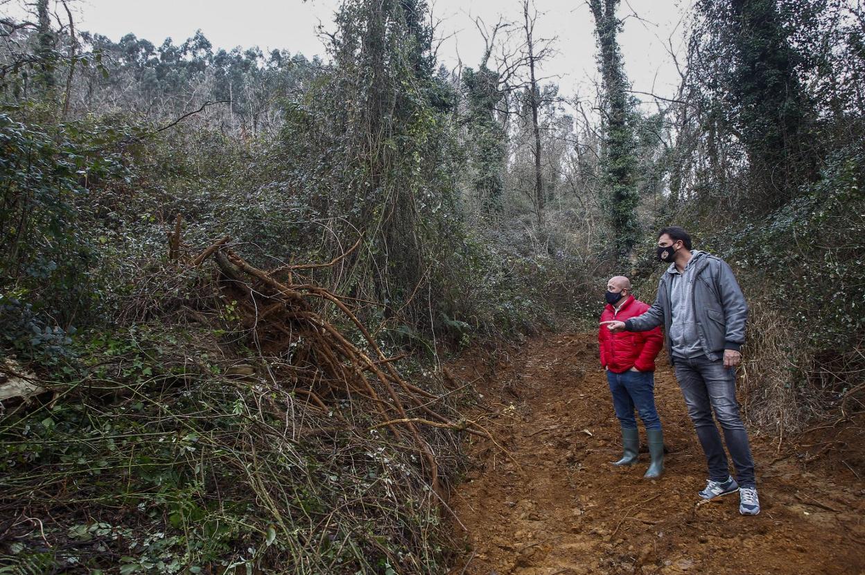 El alcalde de Cartes y el concejal de Medio Ambiente muestran un árbol arrancado junto a una de las pistas. 