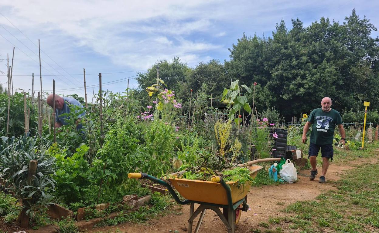 Los usuarios de las huertas municipales de Camargo, en Revilla, encarnan el impulso del respeto por la naturaleza y los espacios verdes del valle.