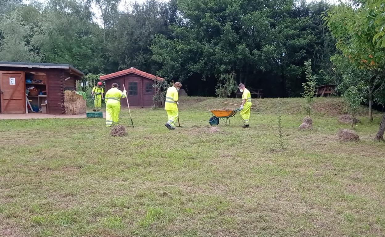 Cuatro empleados de las cuadrillas organizadas para la recuperación de espacios verdes trabajan en la limpieza, el pasado septiembre, en Camargo. 